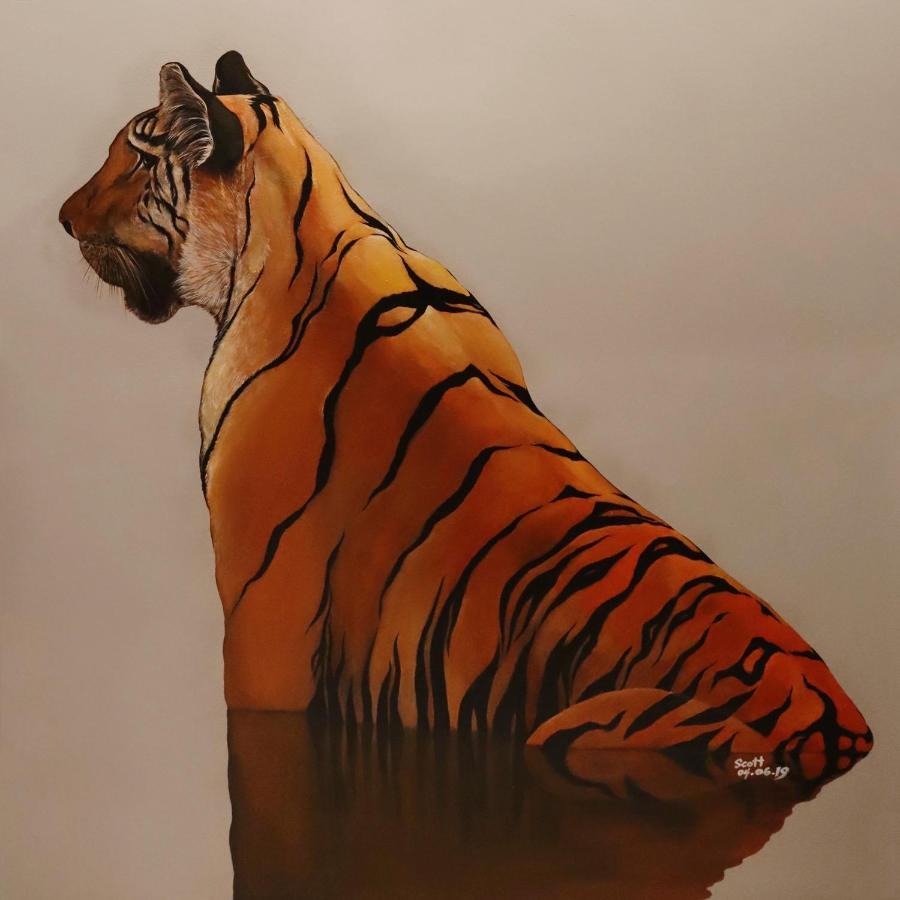 Tiger Hostel Sydney Zewnętrze zdjęcie